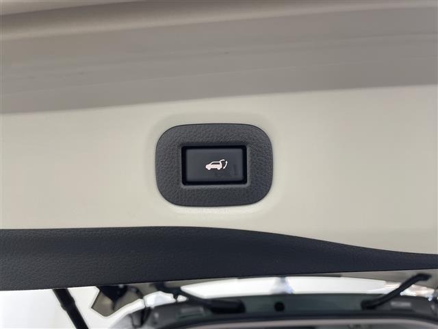 Nissan X-TRAIL 2021 6975223-3