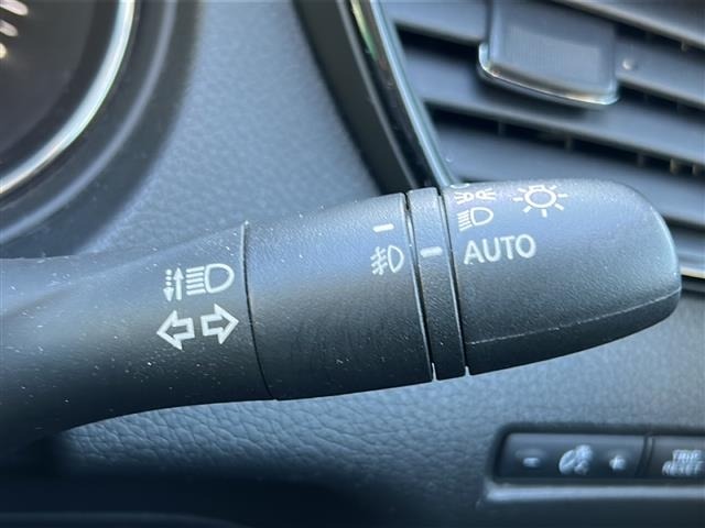 Nissan X-TRAIL 2019 6975450-20