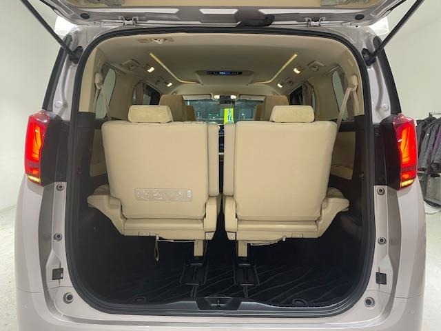 Toyota ALPHARD 2019 7023465-20