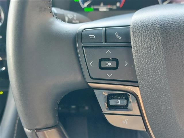 Toyota ALPHARD 2025 7023968-30