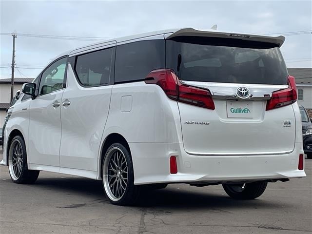 Toyota ALPHARD 2018 7024054-13