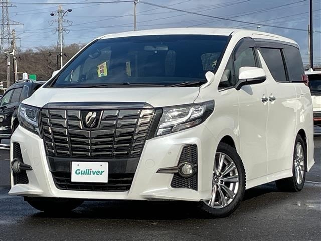 Toyota ALPHARD 2016 7024101-19