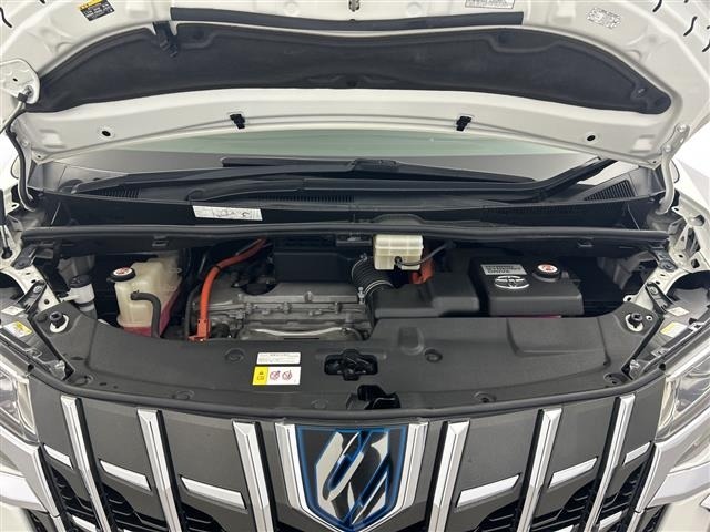Toyota ALPHARD 2019 7024196-14
