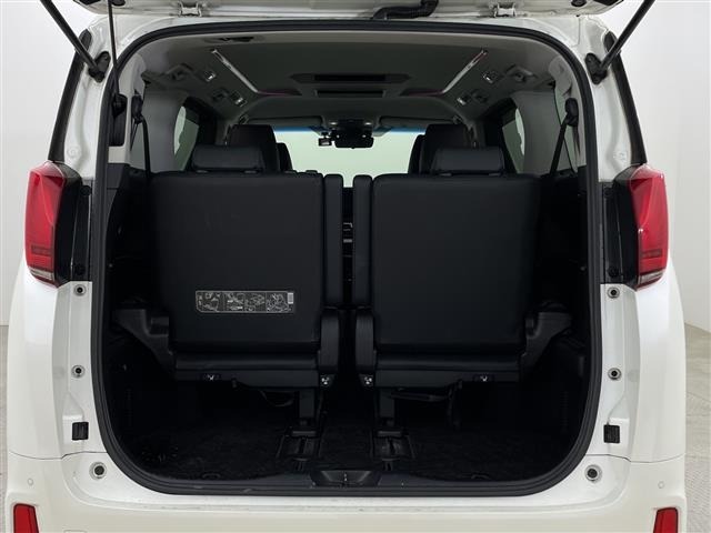 Toyota ALPHARD 2018 7024595-22