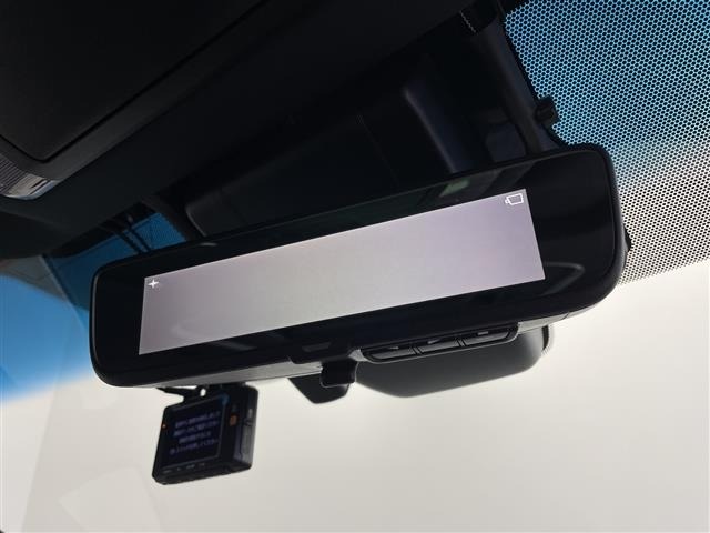 Toyota ALPHARD 2019 7024598-10