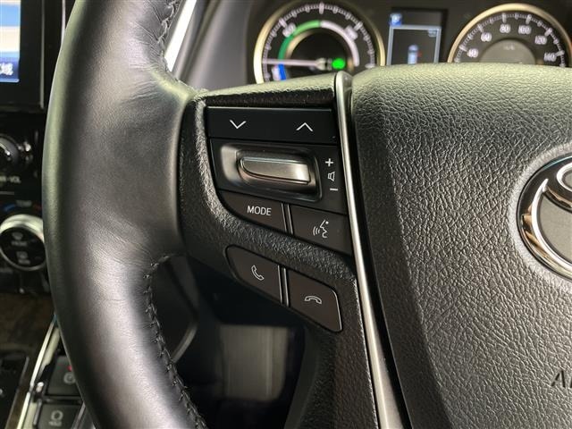 Toyota ALPHARD 2019 7024598-21