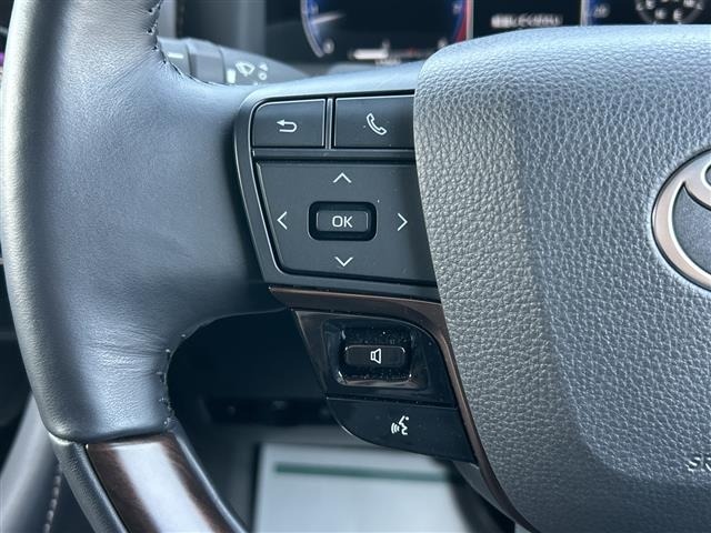 Toyota ALPHARD 2024 7024601-6