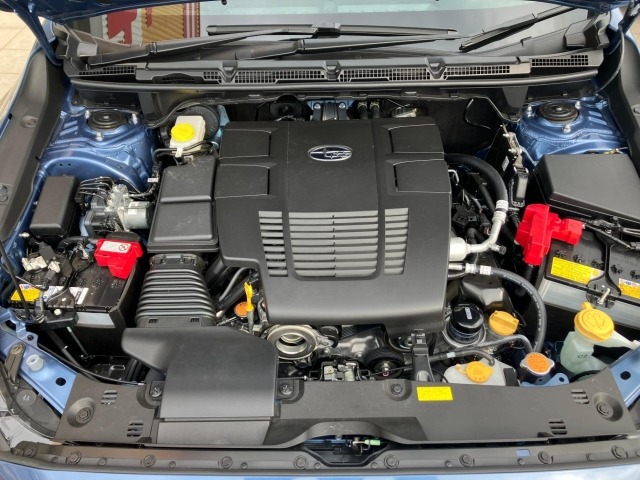 Subaru Crosstrek 2024 7005132-11