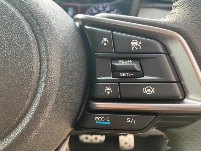 Subaru Crosstrek 2024 7005132-5