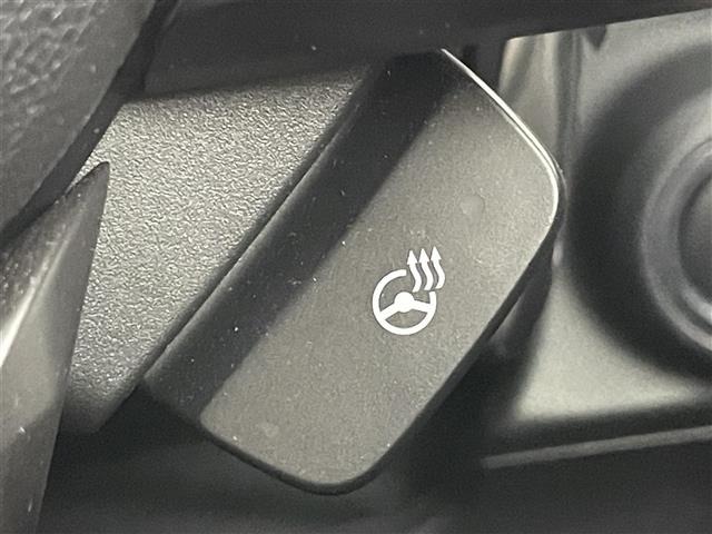 Subaru Crosstrek 2024 7005256-9