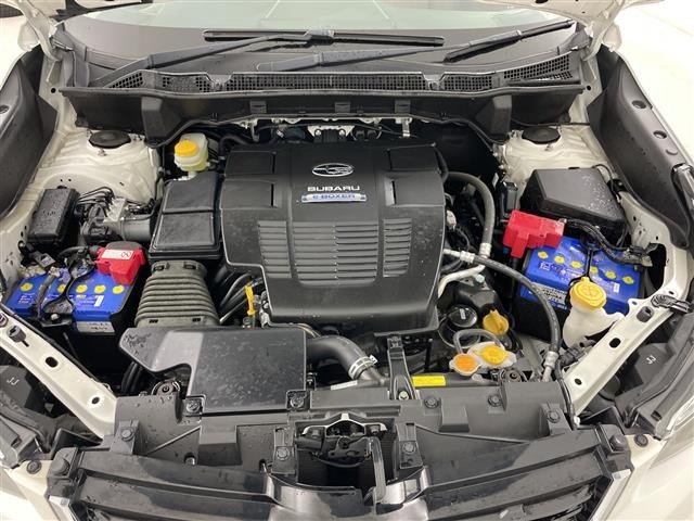 Subaru FORESTER 2019 7019076-19