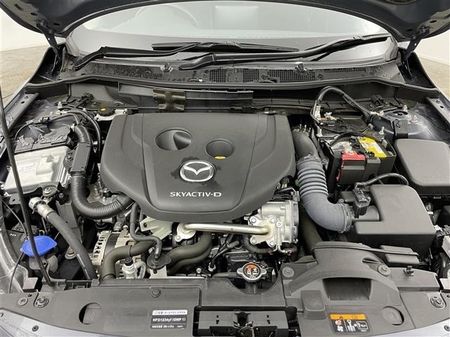 Mazda MAZDA2 2023 7019946-4