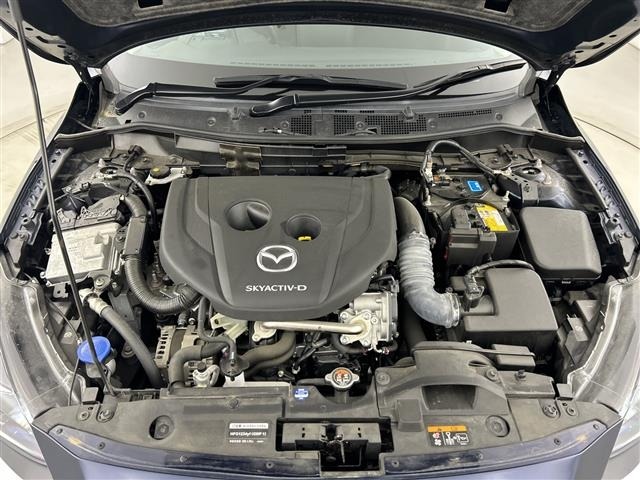 Mazda MAZDA2 2023 7020168-7