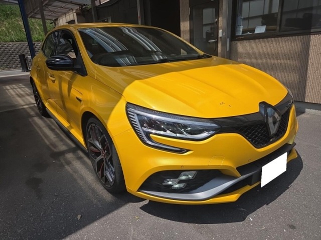 Renault MEGANE 2024 7019548-4