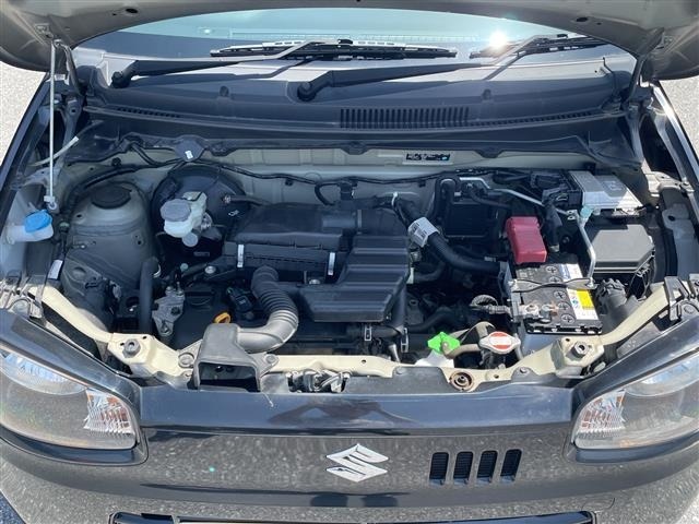 Suzuki ALTO 2017 7031620-15