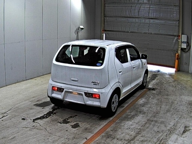 Suzuki ALTO 2021 7031688-5