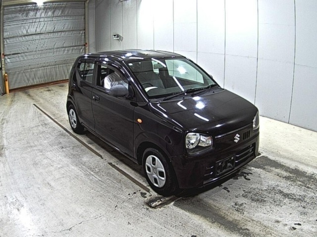 Suzuki ALTO 2017 7031692-0