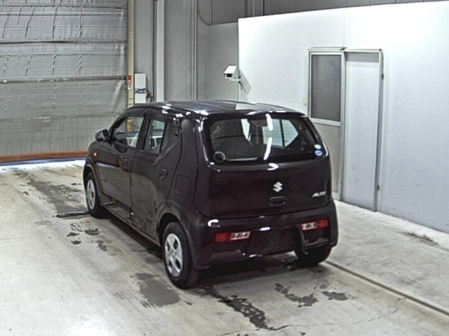 Suzuki ALTO 2017 7031692-1
