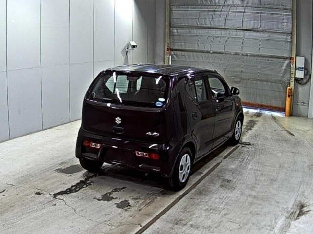Suzuki ALTO 2017 7031692-5
