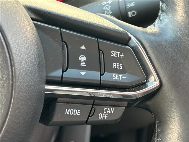 Mazda AXELA 2018 7029787-10