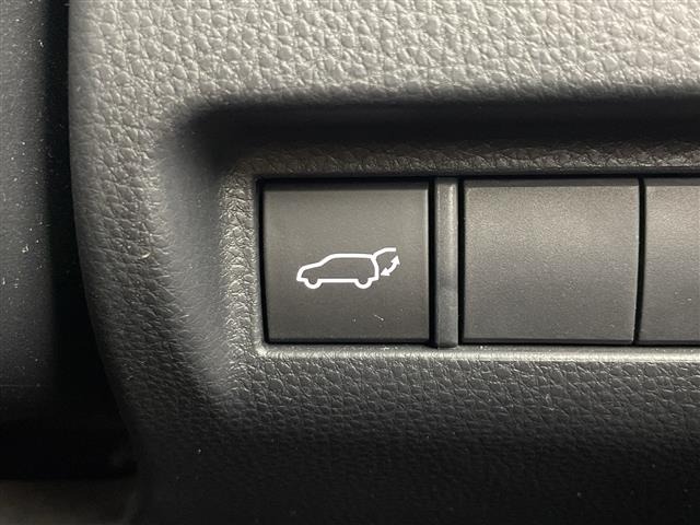 Toyota HARRIER 2024 7029287-19