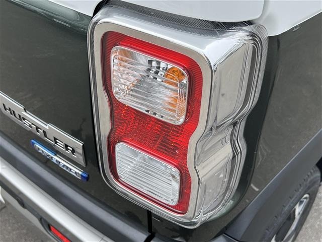 Suzuki HUSTLER 2021 7033406-19