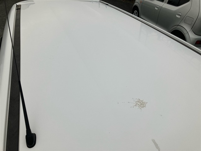 Nissan AD VAN 2018 7047638-11