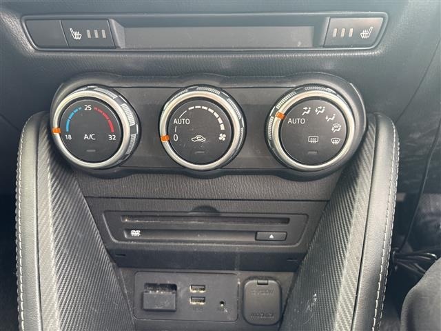 Mazda DEMIO 2018 7042198-19