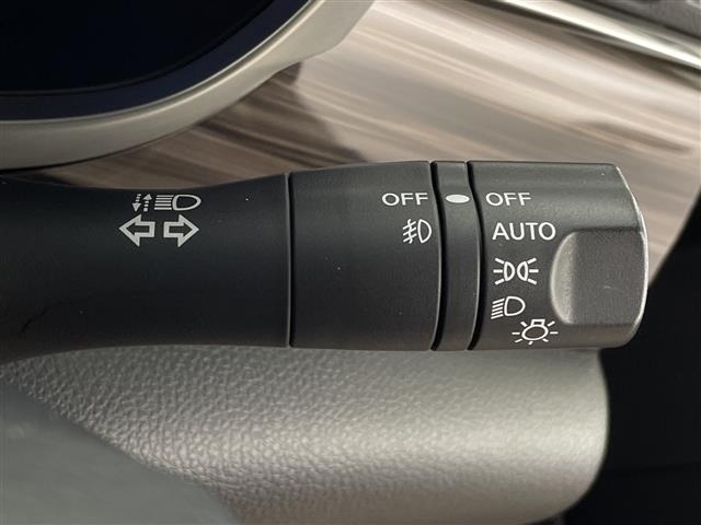 Nissan ELGRAND 2019 7044496-3