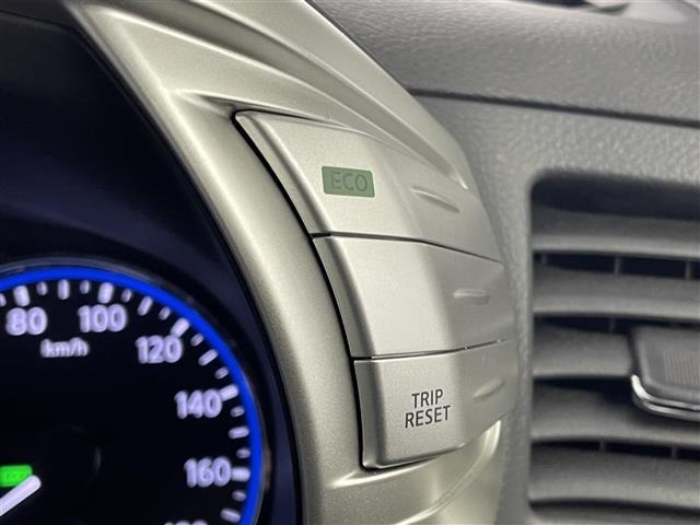 Nissan ELGRAND 2020 7044497-9