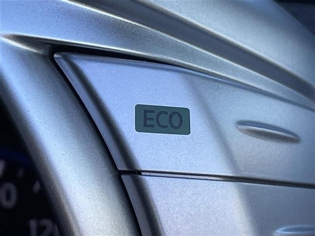 Nissan ELGRAND 2017 7044574-3