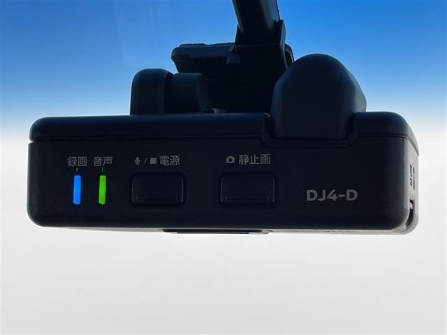 Nissan ELGRAND 2019 7044666-9