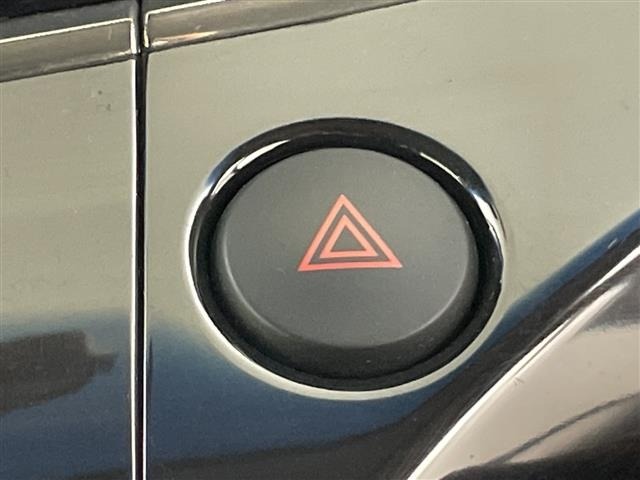 Nissan ELGRAND 2018 7044688-10