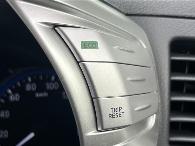 Nissan ELGRAND 2017 7044717-8