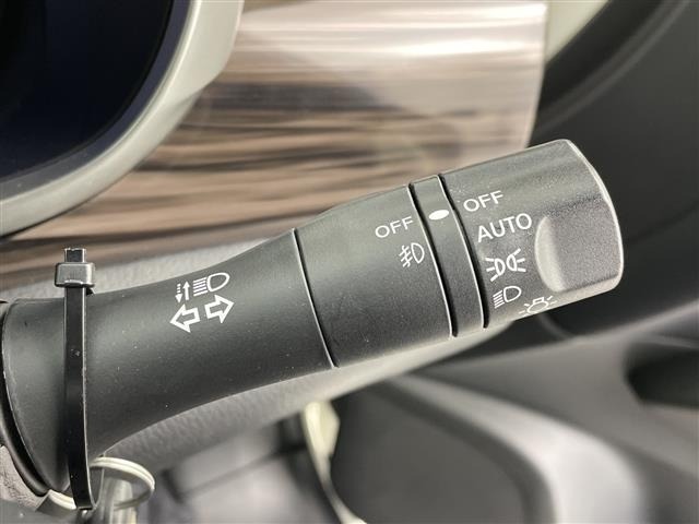 Nissan ELGRAND 2017 7044846-10