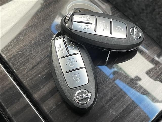 Nissan ELGRAND 2016 7045006-20