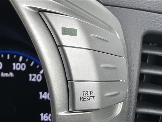 Nissan ELGRAND 2016 7045006-7