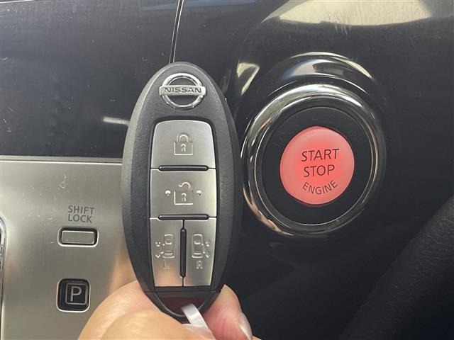 Nissan ELGRAND 2019 7045091-10