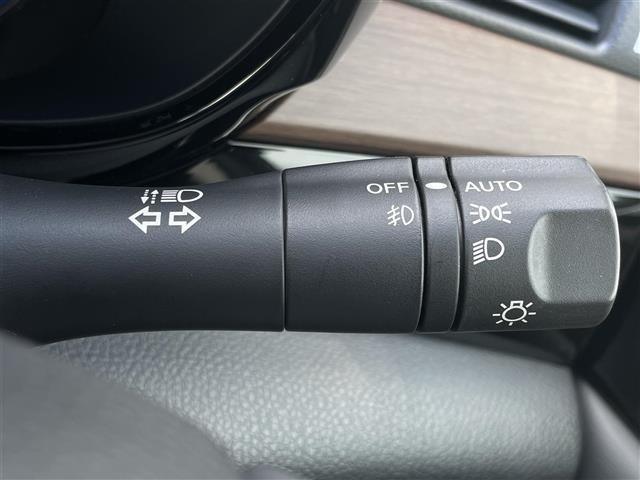 Nissan ELGRAND 2021 7045168-9