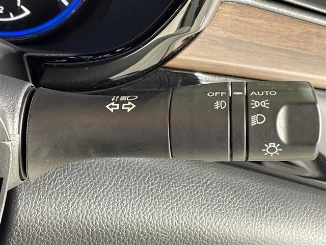 Nissan ELGRAND 2021 7045169-8