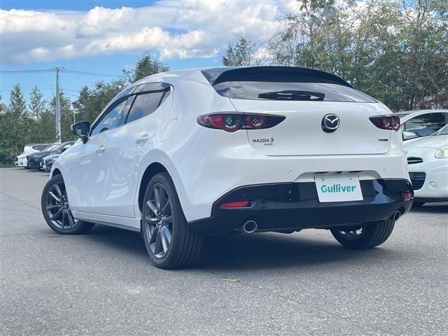 Mazda MAZDA3 2019 7046019-13