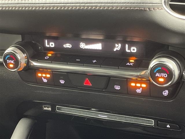 Mazda MAZDA3 2021 7046127-7