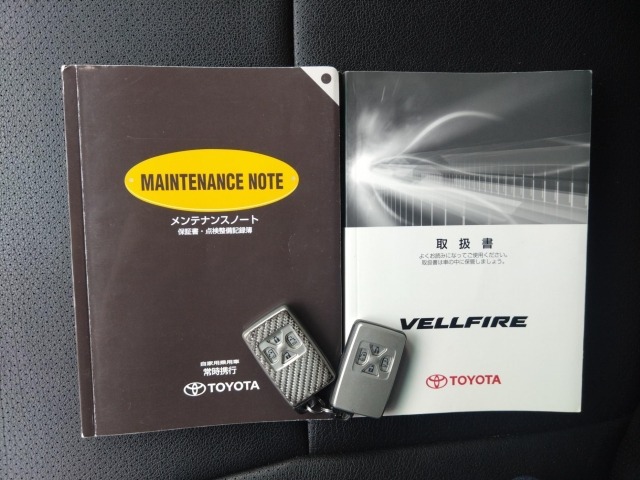 Toyota VELLFIRE 2009 7062641-12