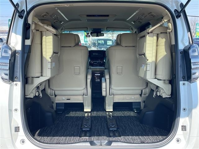 Toyota VELLFIRE 2018 7062893-11