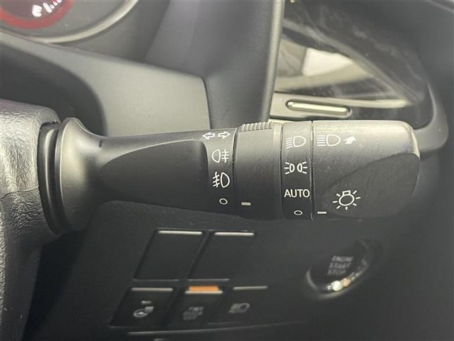 Toyota VELLFIRE 2019 7062916-10