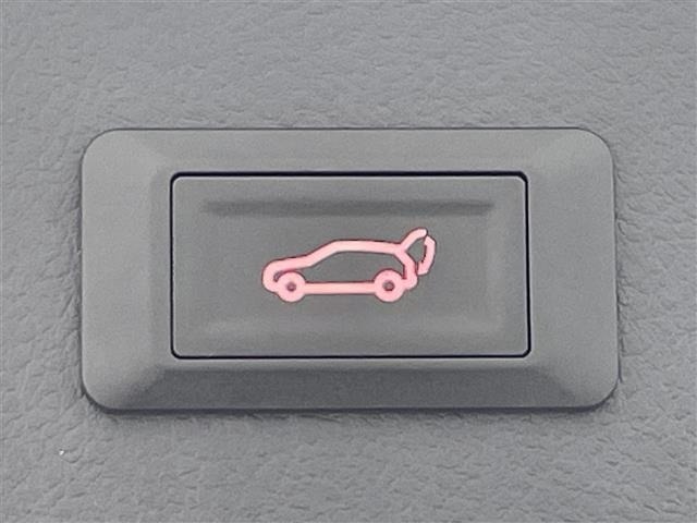 Toyota VELLFIRE 2018 7063136-19