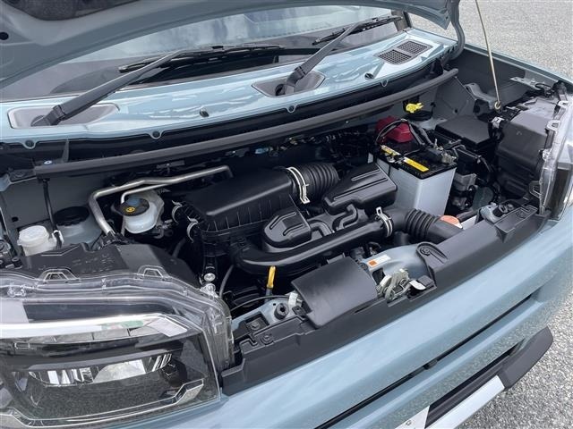 Daihatsu TAFT 2022 7068069-14
