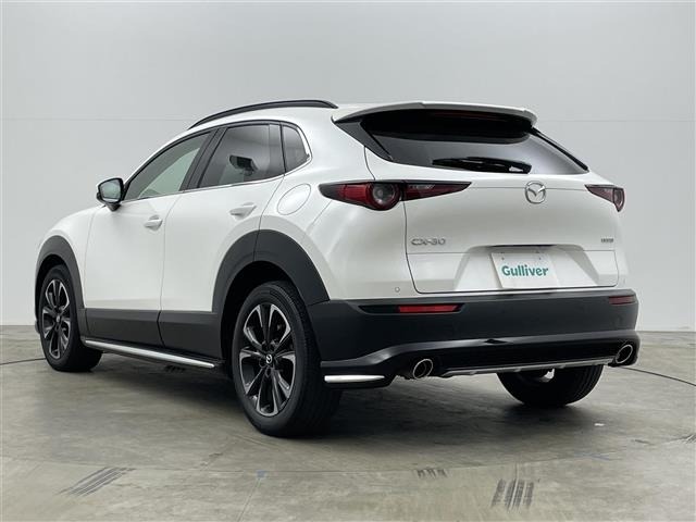 Mazda CX-30 2021 7106343-13