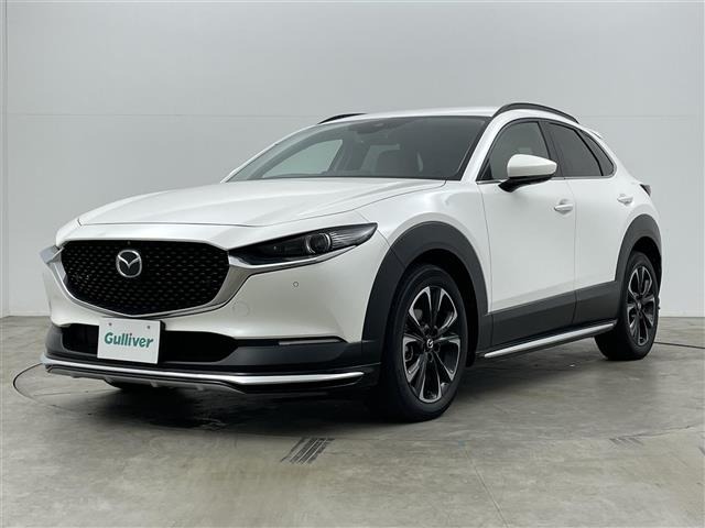 Mazda CX-30 2021 7106343-22