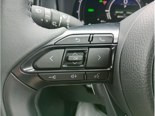Toyota SIENTA 2026 7106105-33